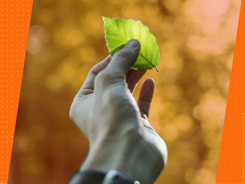 Pensar em sustentabilidade pode transformar o seu negócio