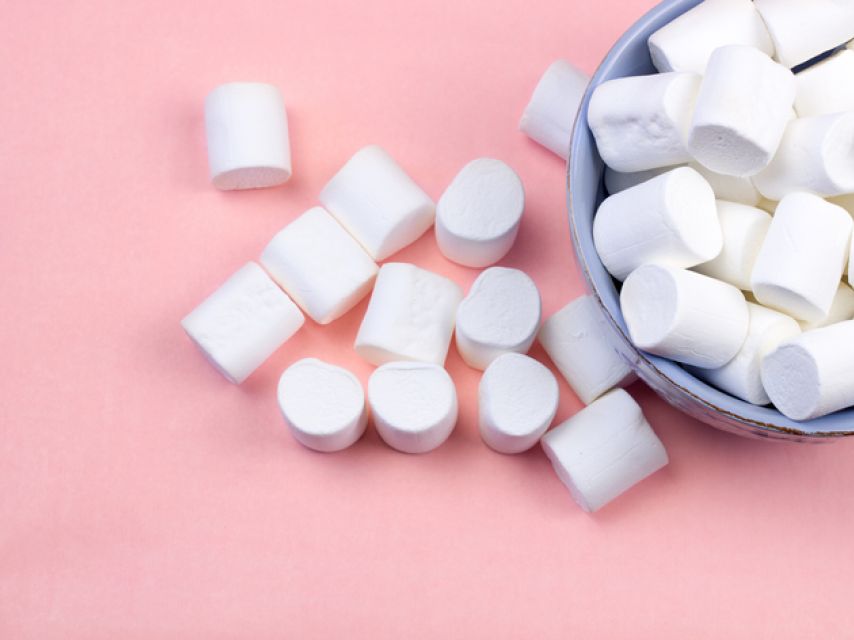 Teoria do mashmellow: entenda a influência do tempo no poder de decisão!